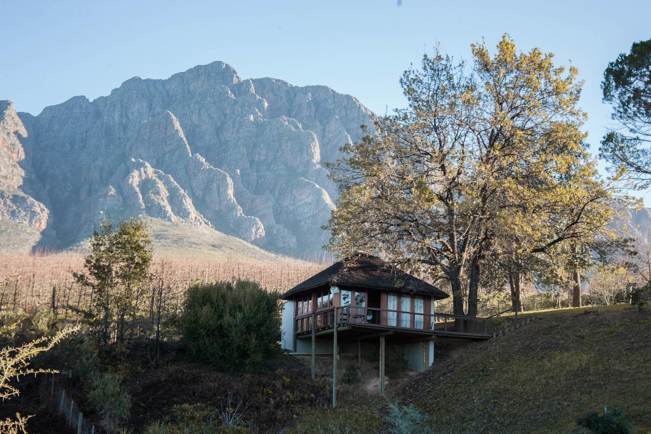 Tulbagh Mountain Manor Guest House เคปทาวน์ ภายนอก รูปภาพ